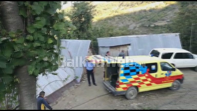 MASAKRA NË KLOS/ Familjarët në britma e ulërima, momenti kur ambulanca merr viktimën (VIDEO)