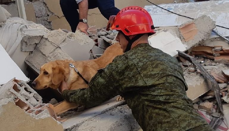 TËRMETI MINUTË PAS MINUTE/ Forcat e Sigurisë së Kosovës bashkë me qenin hero në mision për të shpëtuar jetë