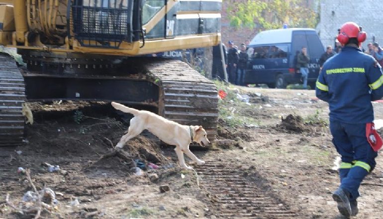 FOTOLAJM/ Një tjetër hero me katër putra mes rrënojave të Thumanës në kërkim të zhdukurve pas tërmetit