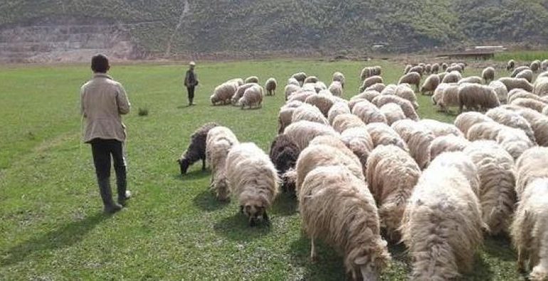 ZHDUKET BARIU NË LESKOVIK/ Prej 2 ditësh askush s’di gjë për të