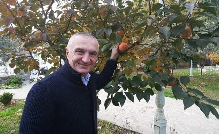 ILIR META POZON ME HURMAT/ Qytetari: Kjo nuk është serioze! Me gjithë këtë zallamahi…