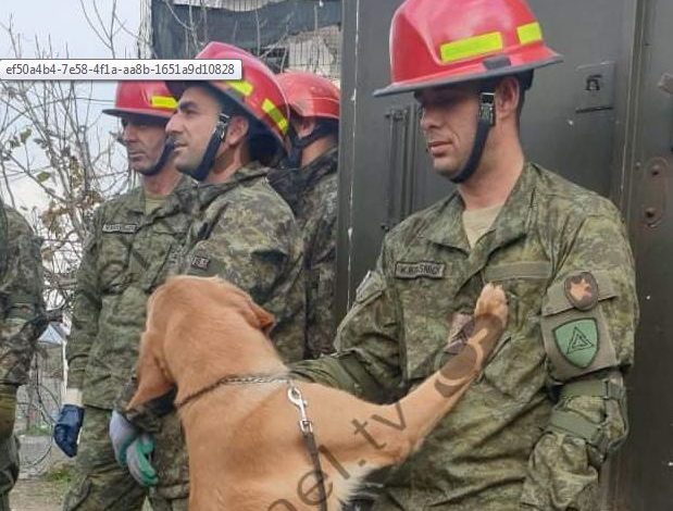 PAS TËRMETIT TRAGJIK/ Qeni hero që shpëtoi jetë në Thumanë (FOTO)