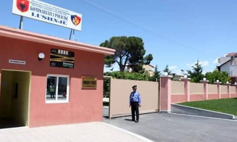 NË KËRKIM PËR PLAGOSJE/ Çfarë ndodhi me dy vëllezrit binjakë pasi policia e Lushnjës…