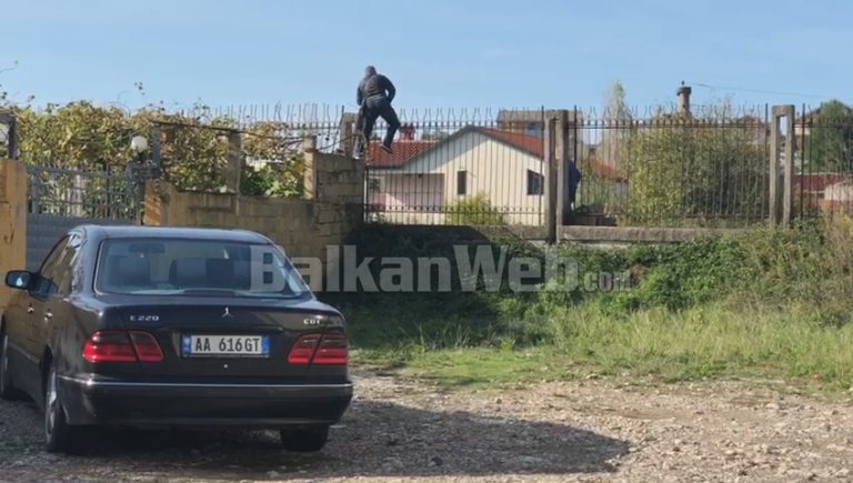 “DORËZOHU SE TË VRAMË”/ Efektivë civilë që vrapojnë, dikush mbi mur, ja pamjet e aksionit të policisë në Lezhë (VIDEO)