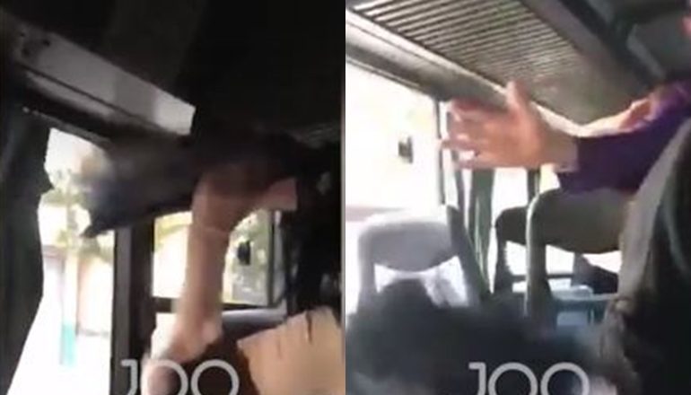 “TË Q*FSHA ROPT KU*VË”/ Plas sherri banal mes vajzave, shkulin sendilet në autobus (VIDEO)