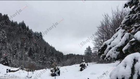 BORA MBULON JUGLINDJEN/ Zbardhen Voskopoja dhe Dardha (VIDEO)