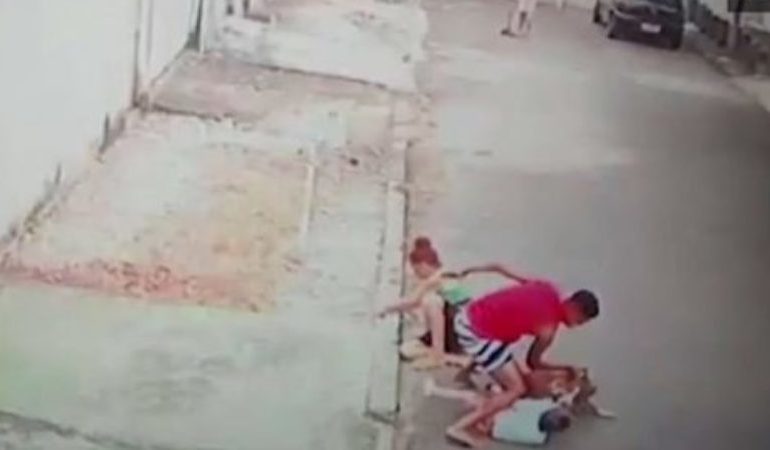 MOMENTI I TMERRSHËM/ Qeni sulmon vogëlushin, i riu i shpëton jetën 4-vjeçarit (VIDEO)