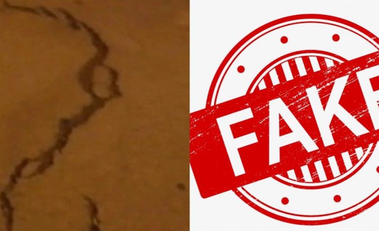 TJETËR “FAKE NEWS”/ Bulevardi i Durrësit JO dëmtime nga tërmeti
