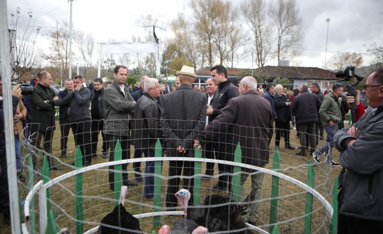 HAPET TRGU I SHPENDËVE NË BALDUSHK TË TIRANËS/ Veliaj: Akti më i madh patriotik që…