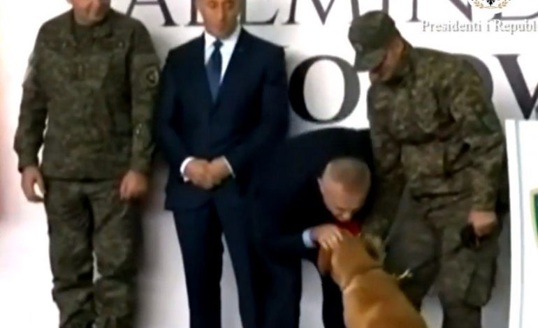TËRMETI/ Ilir Meta puth dhe dekoron edhe qenin e forcave të shpëtimit të Kosovës
