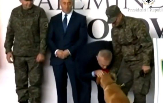 META DEKORON FSK E ZJARRFIKËSIT E KOSOVËS/ ”Harron” strukturat e shtetit shqiptar