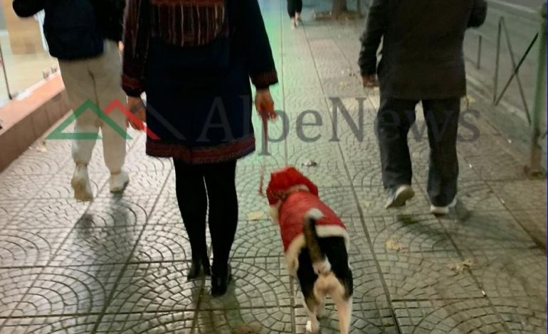 FOTOLAJM/ Babagjyshi më i ri në Tiranë është një… qen!