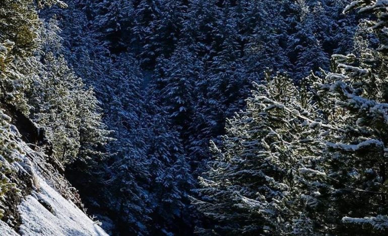 ULEN TEMPERATURAT NË THETH/ Nisin reshjet e para të dëbores në zonën turistike
