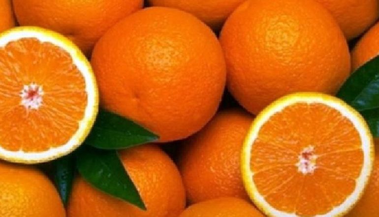 SHQIPËRIA IA KALON DHE FRANCËS/ Prodhimi i portokalleve, nivel më i lartë