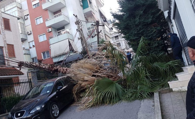 ERA E FORTË/ Shkëputen telat e korentit në Selitë