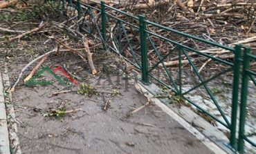 ERA E FORTË/ Momenti nga rrëzimi i pemëve në Tiranë. Rrugët... (FOTOT)