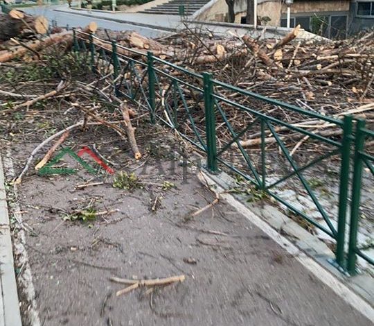 ERA E FORTË/ Momenti nga rrëzimi i pemëve në Tiranë. Rrugët… (FOTOT)