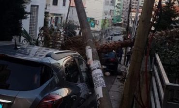 ZYRTARE/ Të gjitha dëmet e shkaktuara nga furtuna e pazakontë në Tiranë. Pemë të rrezuara, te plagosur dhe...