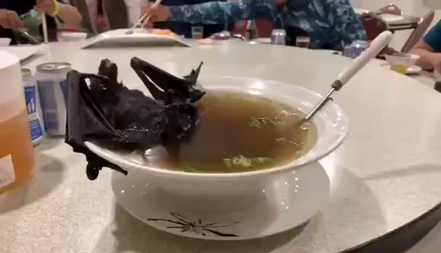 KANË ZAKONE TË ÇUDITSHME USHQIMI/ Arsyet pse kinezët hanë supë me krahë peshkaqeni, lakuriq nate dhe krimba në ceremoni festive