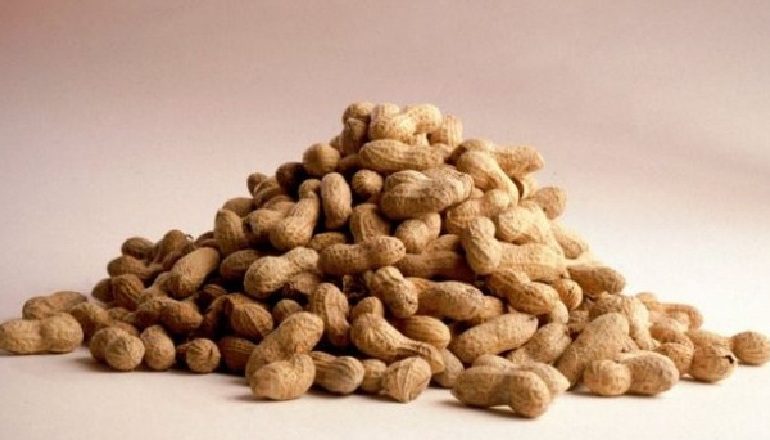 SHBA ZBULON MEDIKAMENTIN KUNDËR ALERGJISË SË KIKIRIKUT/ Mjekimi merr edhe miratimin e FDA