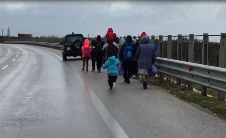KORÇË/ Operacione për kapjen e emigrantëve të paligjshëm