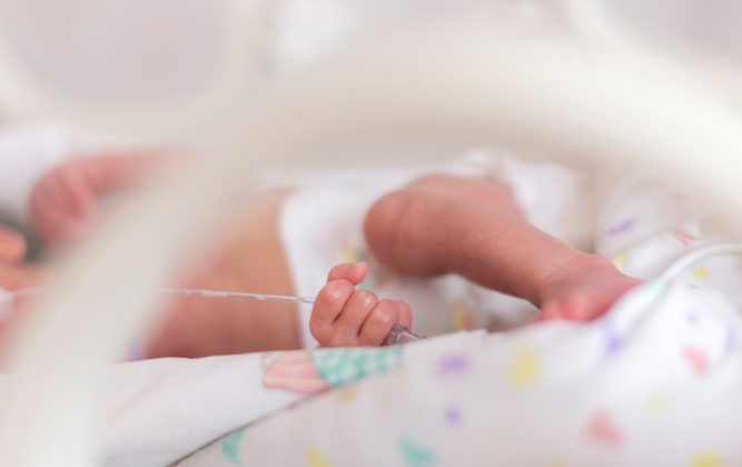 MBËSHTETJE PËR FAMILJET/ Më shumë se 40 mijë të porsalindur përfitues të bonusit të bebes