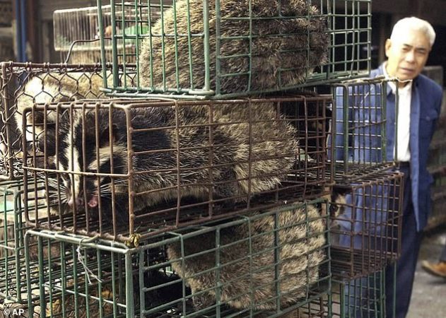 PAS KORONAVIRUSIT/ Kina ndalon rreptësisht tregtimin dhe konsumimin e kafshëve të egra
