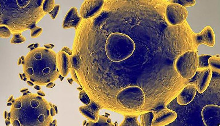 KORONAVIRUSI/ COVID-19, i shndërron qelizat e pacientit në “fabrika të viruseve”