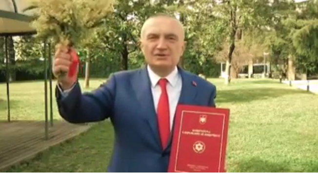 SHFAQET ME MIMOZA NË DUAR/ Meta: Edhe pak momente na ndajnë nga pranvera kuqezi (VIDEO)