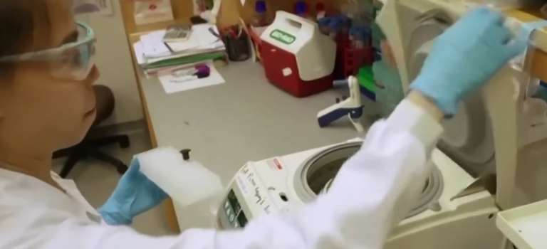 BETEJA KUNDËR KORONAVIRUSIT/ SHBA kërkon t’iu bëjë teste gjaku personave që kanë fituar imunitet