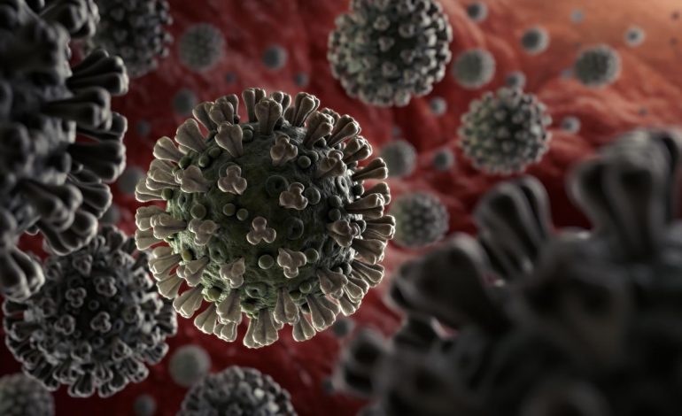 KORONAVIRUSI/ “The Wall Street Journal”: A do ta kufizojë globalizimin pandemia e COVID-19?!