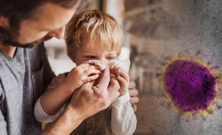 "TË RRITET QARKULLIMI I AJRIT"/ Organizatat shëndetësore, udhëzime për mbrojtjen e fëmijëve nga koronavirusi