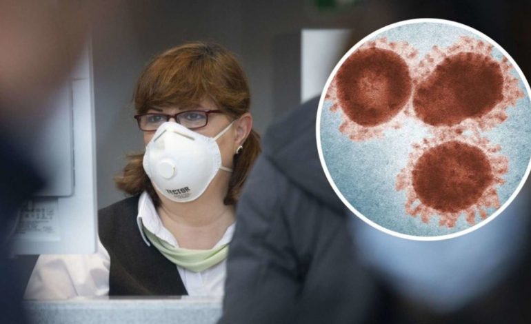 KORONAVIRUSI/ Pse epidemia po merr më pak jetë njerëzish në Gjermani?