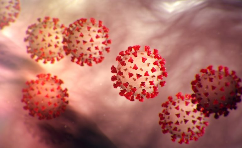 KORONAVIRUSI/ Pandemia e Covid-19 zhyt në krizë mediat botërore