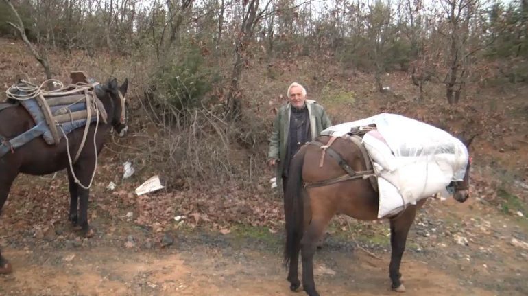 “ME VDEK NUK KA KUSH TË NA VARROSË”/ Fjalët prekëse të moshuarit nga Mati: As transportin s’ka kush na e bën (VIDEO)
