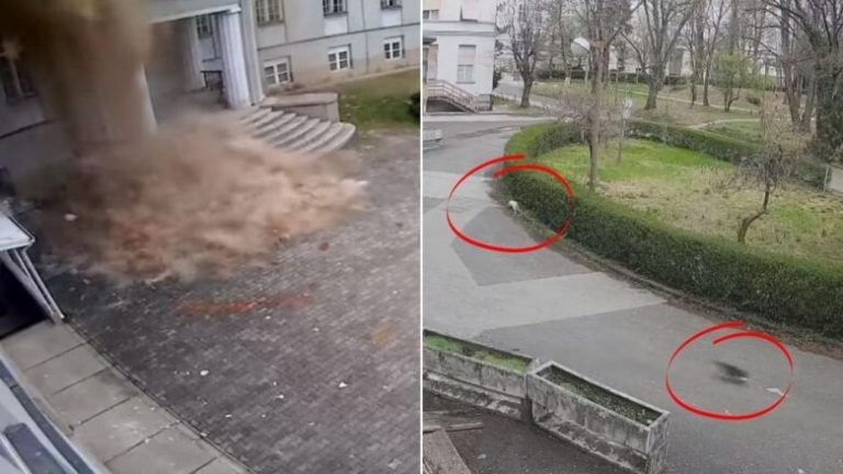 KOHË KORONAVIRUSI/ Momenti kur tërmeti shemb Fakultetin e Mjekësisë në Zagreb, veprimi i këtyre maceve po çudit botën (VIDEO)