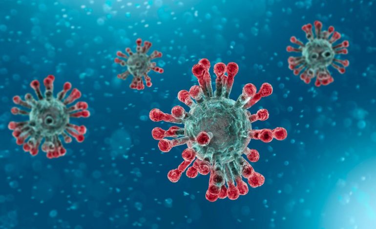 KORONAVIRUSI/ Njësoj si HIV, shkencëtarët zbulojnë mënyrën si e sulmon Covid-19 sistemin imunitar