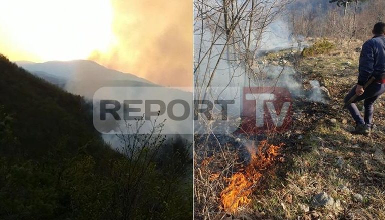 NË KOHË KORONAVIRUSI/ Kukësi përfshihet nga zjarret. Kërkohet ndërhyjre nga ajri, shkak terreni i vështirë (VIDEO)