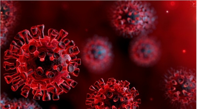 STUDIMI GJERMAN NË 2012/ “Bota kërcënohet nga një pandemi që do të zgjasë tre vjet”