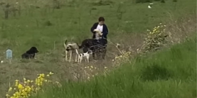 GJESTI HUMAN I GRUAS SHQIPTARE/ Në kohë të vështira pandemie, gjen kohën të ushqejë qentë endacakë (VIDEO)