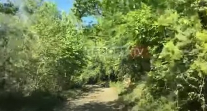 SHTEGU PËR TË SHKUAR NË VENDIN E KRIMIT/ Zona e thellë malore në Lezhë ku u vra rapsodi dhe një tjetër (VIDEO)