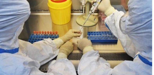 RASTI I RRALLË/ Fëmija 9 vjeç me koronavirus takon 170 persona, por asnjë nuk rezulton pozitiv