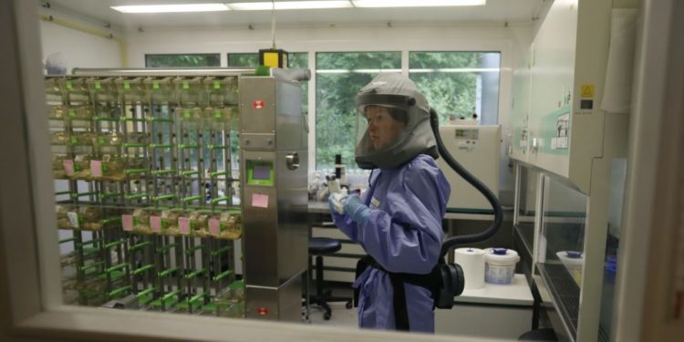 COVID-19/ Shkencëtarët: Ja si do të ndikojë rihapja tek epidemia!