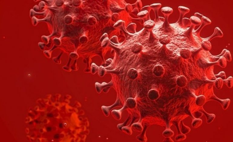 COVID-19/ Universiteti Kembrixhit: Origjina e koronavirusit jo në Wuhan. Qarkullon në tre variante