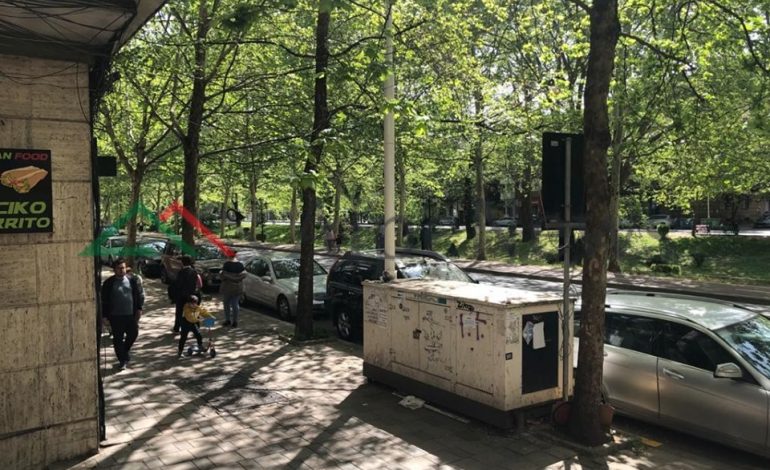 LIRIA E DALJES SOT/ Nënat me fëmijët mblidhen në lulishtet e Tiranës, boshatisen… (PAMJET