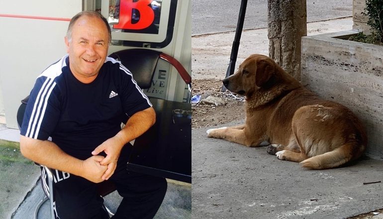 SI NË FILMIN “HAÇIKO”/ Qeni me sytë nga shkalla pret Skënder Kurtin, ish-trajnerin e boksit i cili ndërroi jetë nga Covid-19