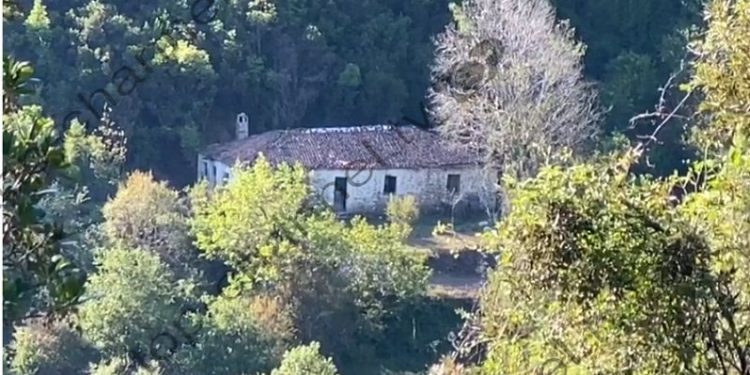 DY VIKTIMAT NË LEZHË/ Kush i gjeti dy trupat e pajetë në kodër