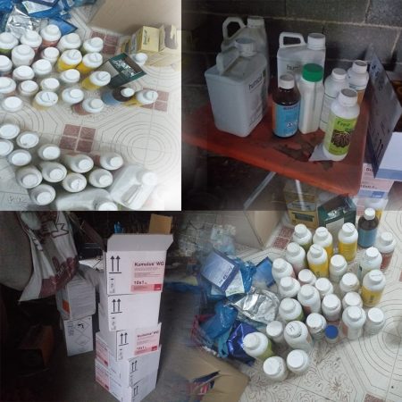 OPERACIONI “MORAVA”/ Zbardhen një sërë vjedhjesh në farmaci bujqësore dhe ushqimore, kapen dy autorët