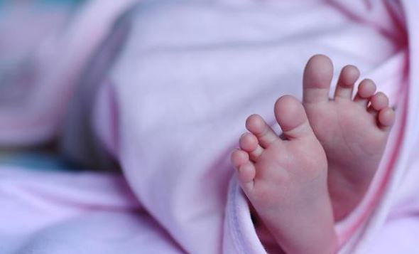 GJATË 3 JAVËVE KARANTINË/ Lindin binjakët Korona dhe Covid në Indi