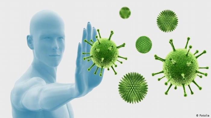 GJITHÇKA DUHET TË DINI/ Si funksionon sistemi imunitar dhe kur nuk na mbron nga viruset?